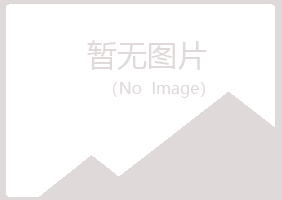 白银平川匆匆航空航天有限公司